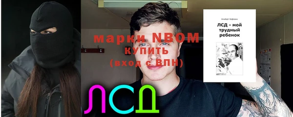 сатива Алексеевка